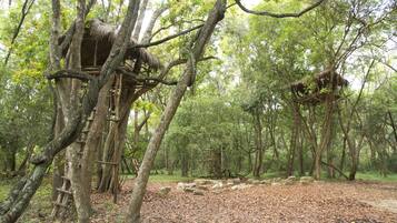 Área da propriedade