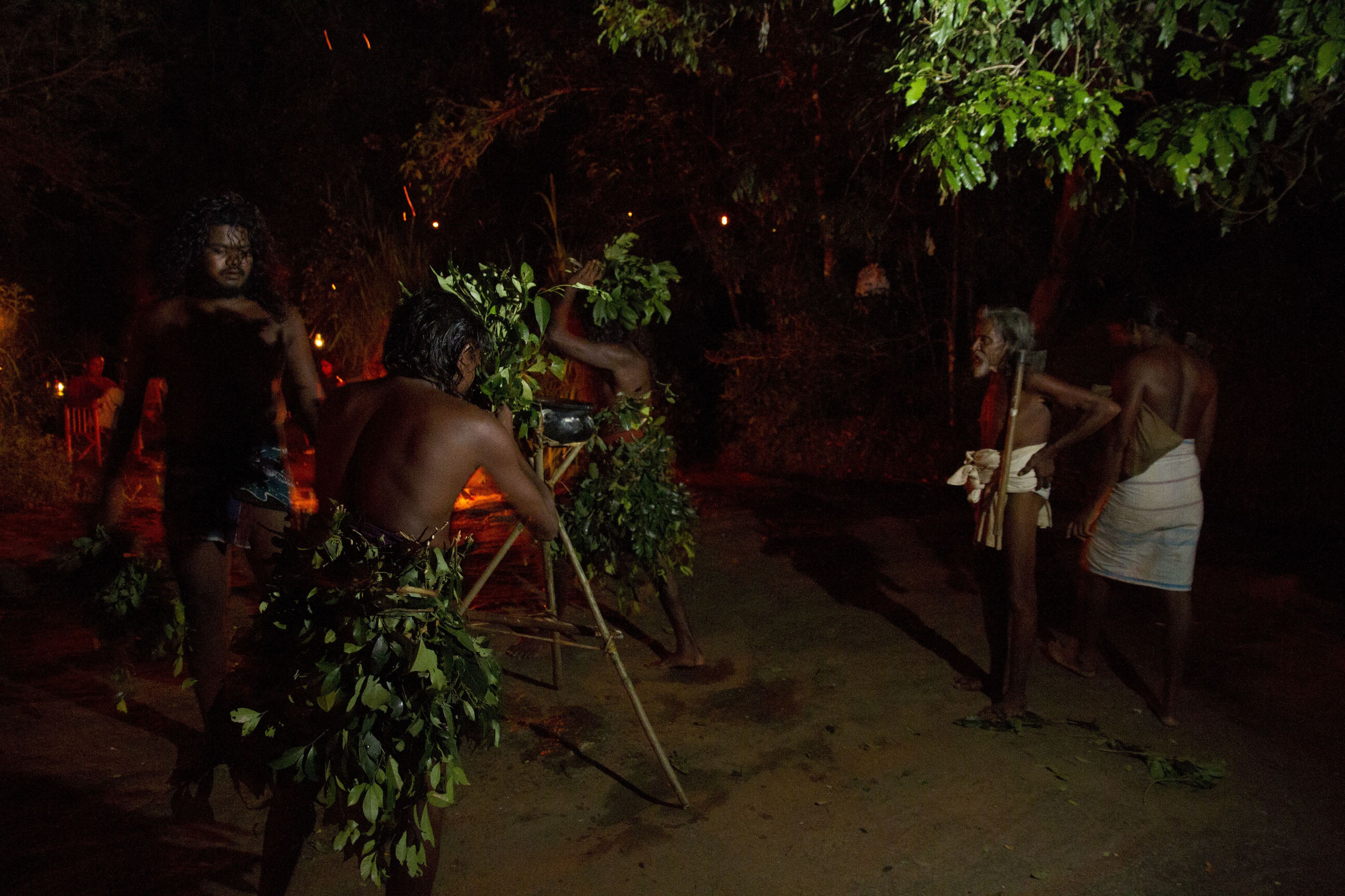 A group of people in a dimly lit outdoor setting, possibly a forest or garden, with some holding plants.