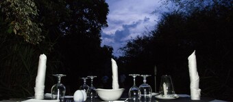 Explorer by eco team -Dambana
