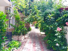 Un sendero estrecho bordeado por abundante vegetación y un edificio con unidades de aire acondicionado.