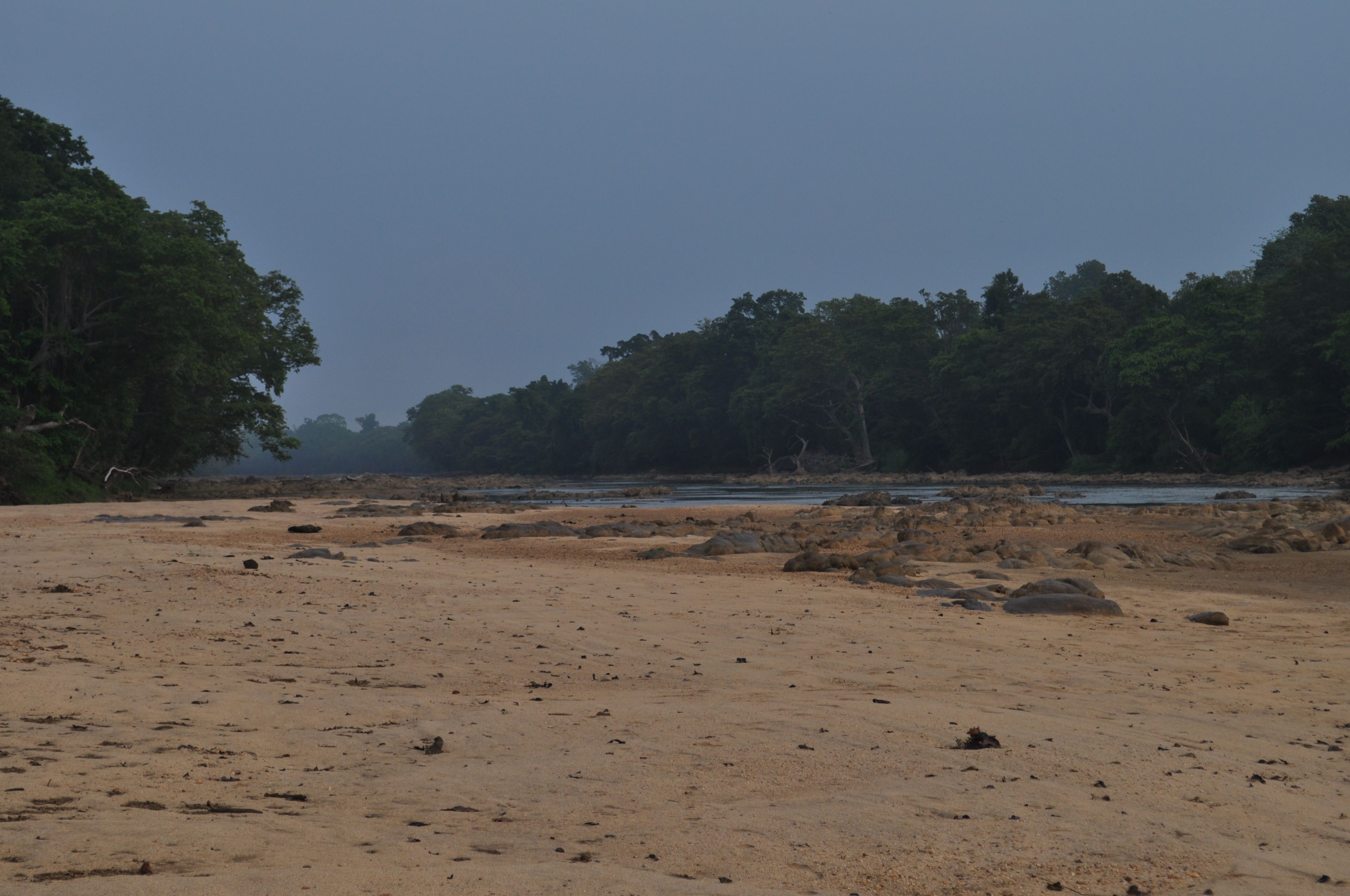 A sandy beach with scattered rocks and dense trees in the background.