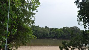 Orilla de río con vegetación densa y una orilla arenosa.