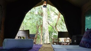 Una carpa con una cama, una mesa y un farol colgante.