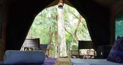 Explorer by Eco Team - Wasgamuwa National Park