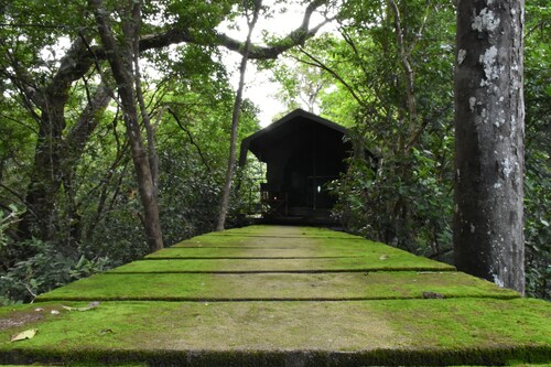 Explorer by Eco Team - Wasgamuwa National Park