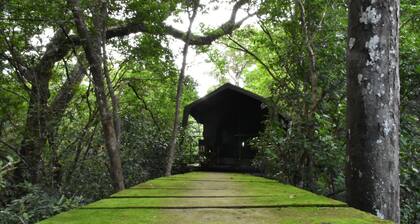 Explorer by Eco Team - Wasgamuwa National Park