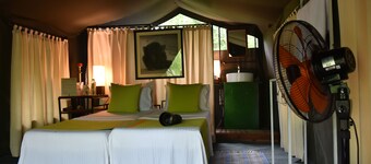 Explorer by Eco Team - Knuckles