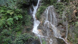 A waterfall cascading over rocks surrounded by lush greenery. - Explorer by Eco team - Sinharaja (Kalawana)