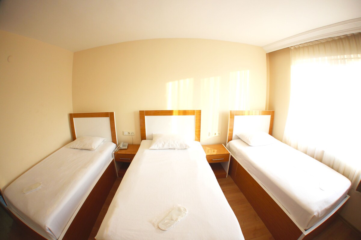 Triple Room | Desk, free WiFi