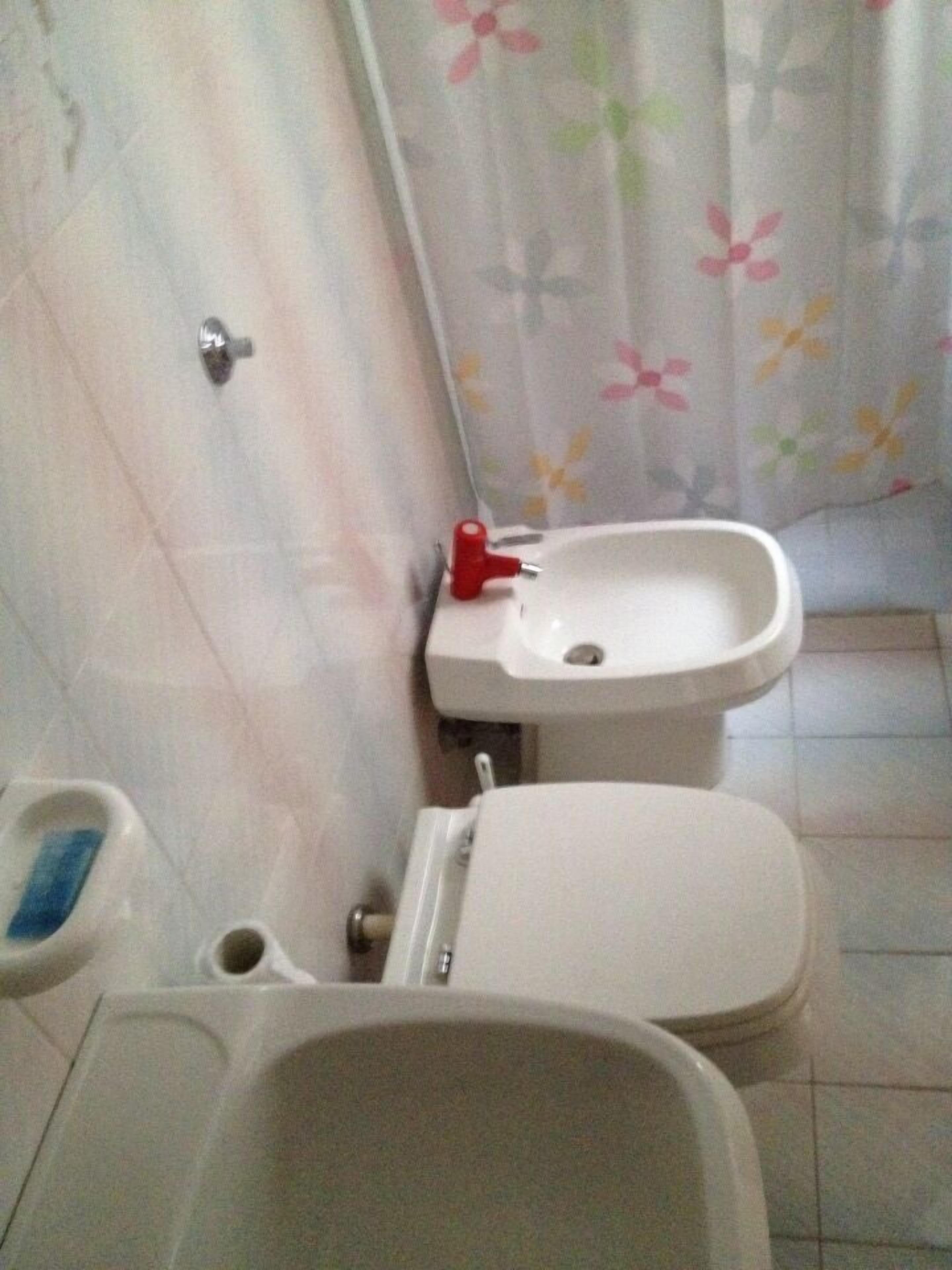 Ein Badezimmer mit Toilette, Bidet und einer Duschvorhang mit Blumenmuster.