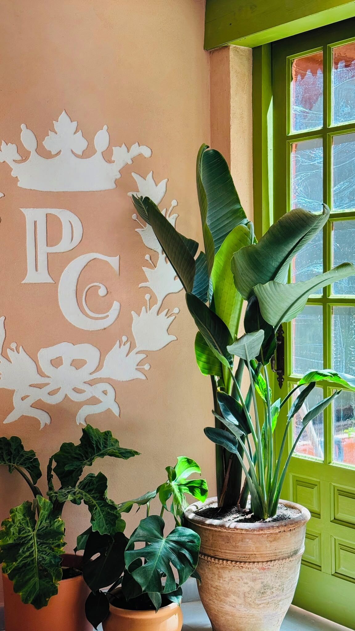 A room with a wall decorated with a large white letter 'P' and 'C' surrounded by leaf patterns, a window with green shutters, and several potted plants.