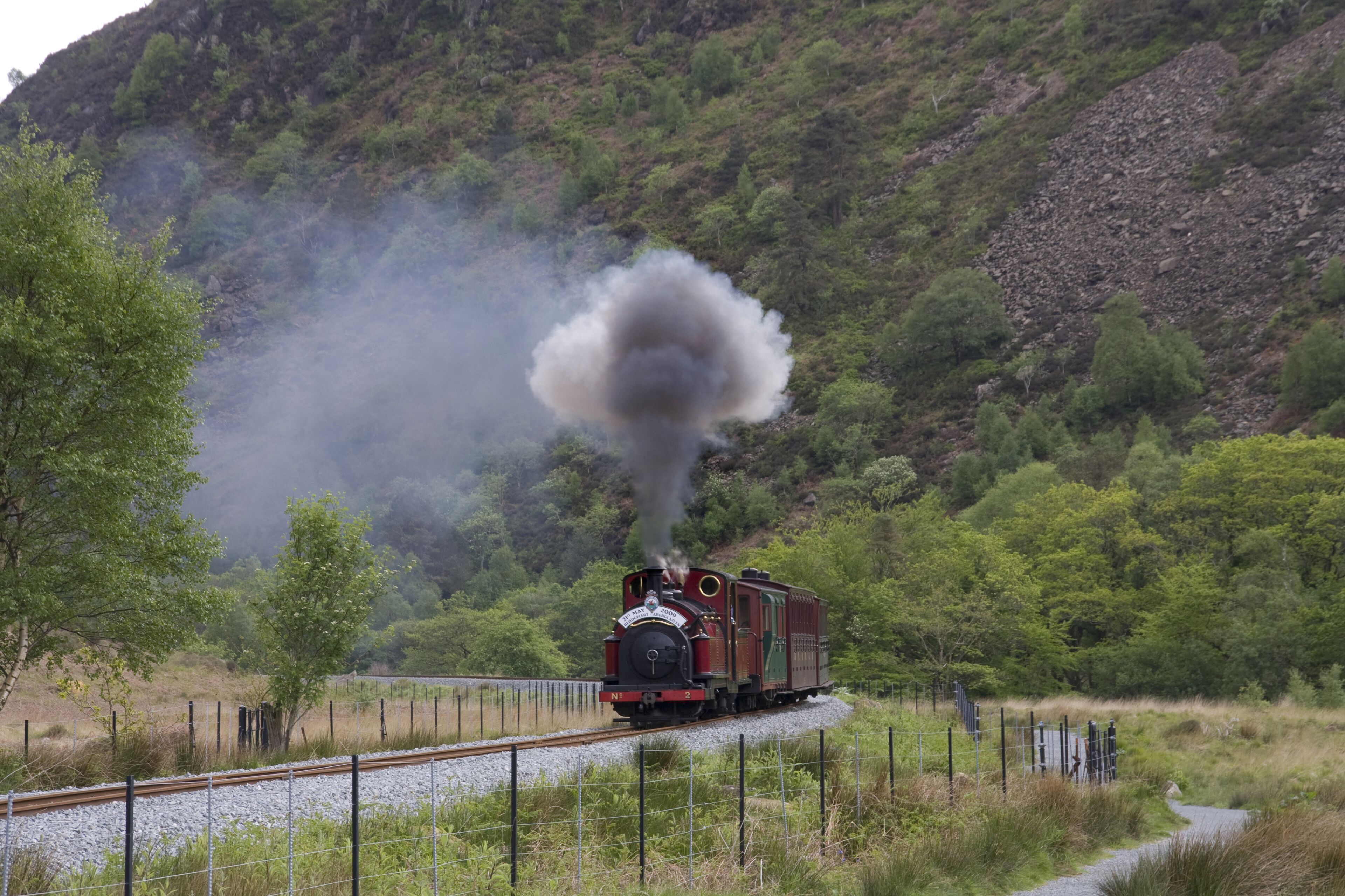 A steam locomotive on a railway track surrounded by greenery.