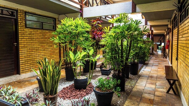 A covered outdoor area with potted plants arranged along a pathway. - Economy Flat (Natal)