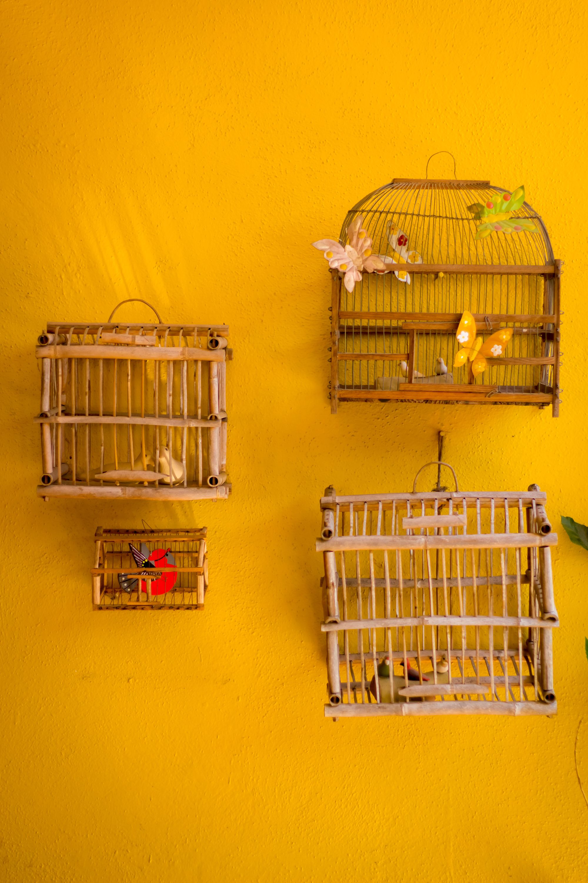 Four birdcages of varying sizes and designs mounted on a yellow wall.
