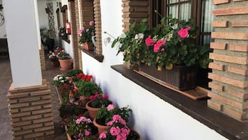 Detalle exterior