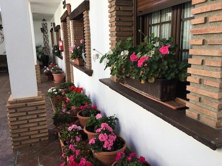 Exterior detail