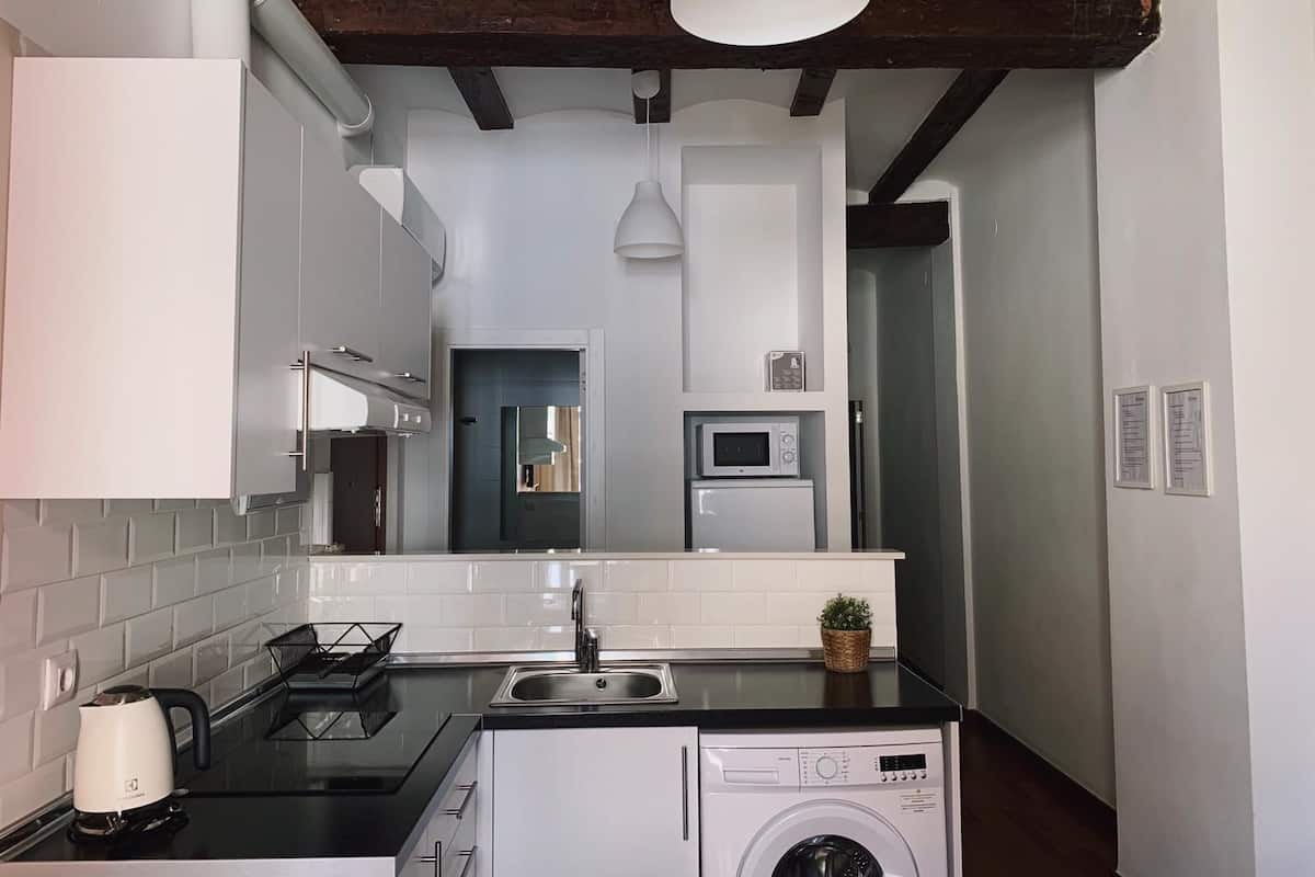Basic Apartment, 2 Bedrooms | Shared kitchen | Full-size fridge, microwave, stovetop, coffee/tea maker