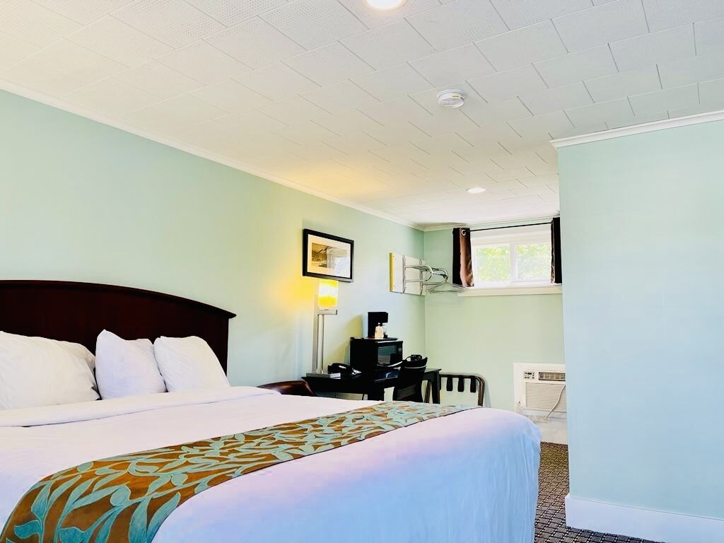 A hotel room with a bed, a desk, a chair, a lamp, and a window.
