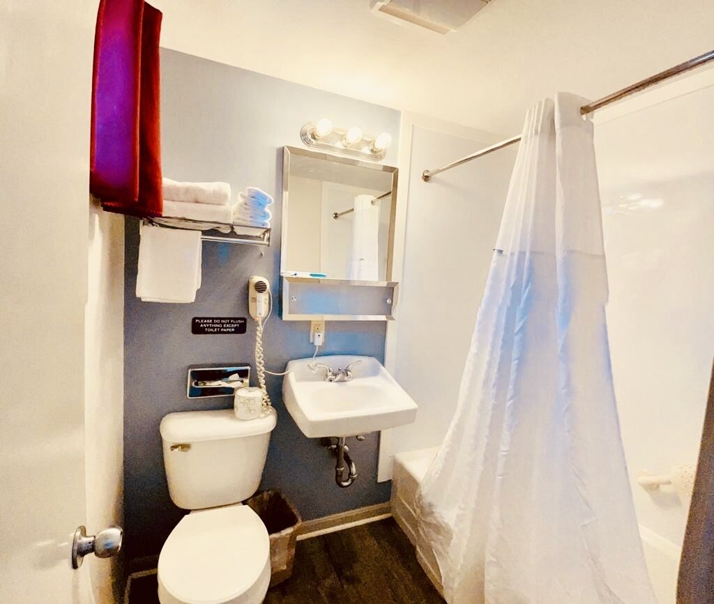 A bathroom with a toilet, sink, and shower curtain.