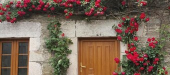 Pensión Albergue A Pedra