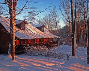 A cabin with a snow-covered roof, surrounded by trees and bushes. - Barefoot Hills (Dahlonega)