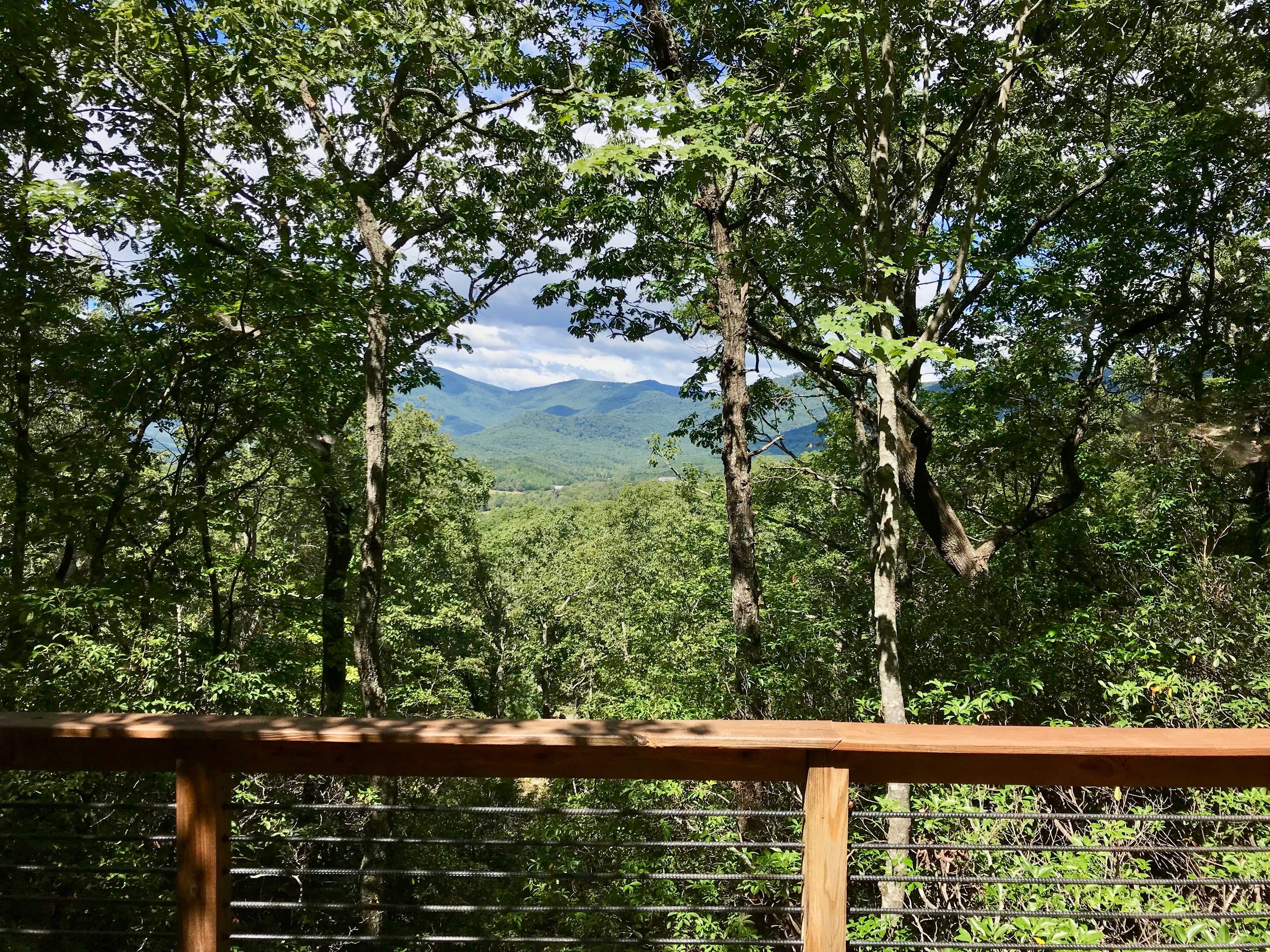 design cabin, 1 queen bed with sofa bed, kitchenette, mountain view | balcony view