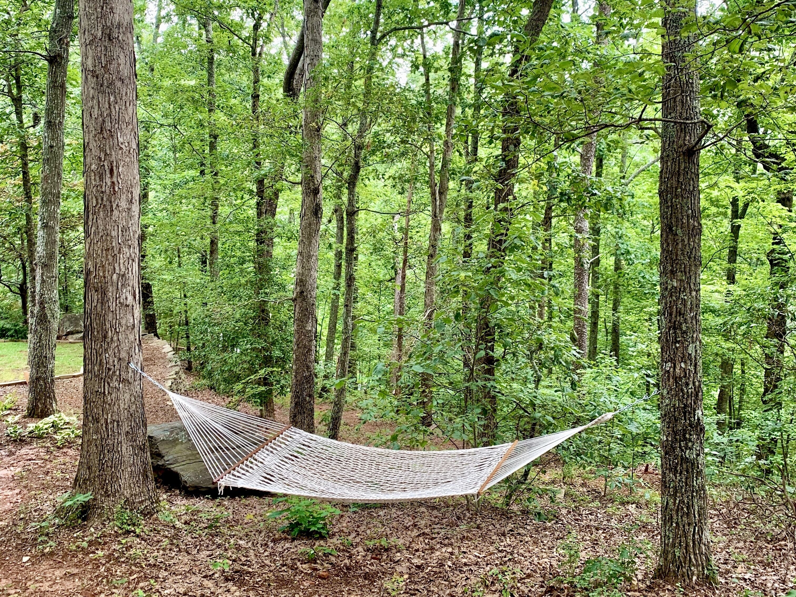 A hammock in a forest with trees and a ground covered in leaves.