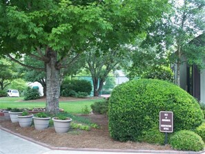 Property grounds