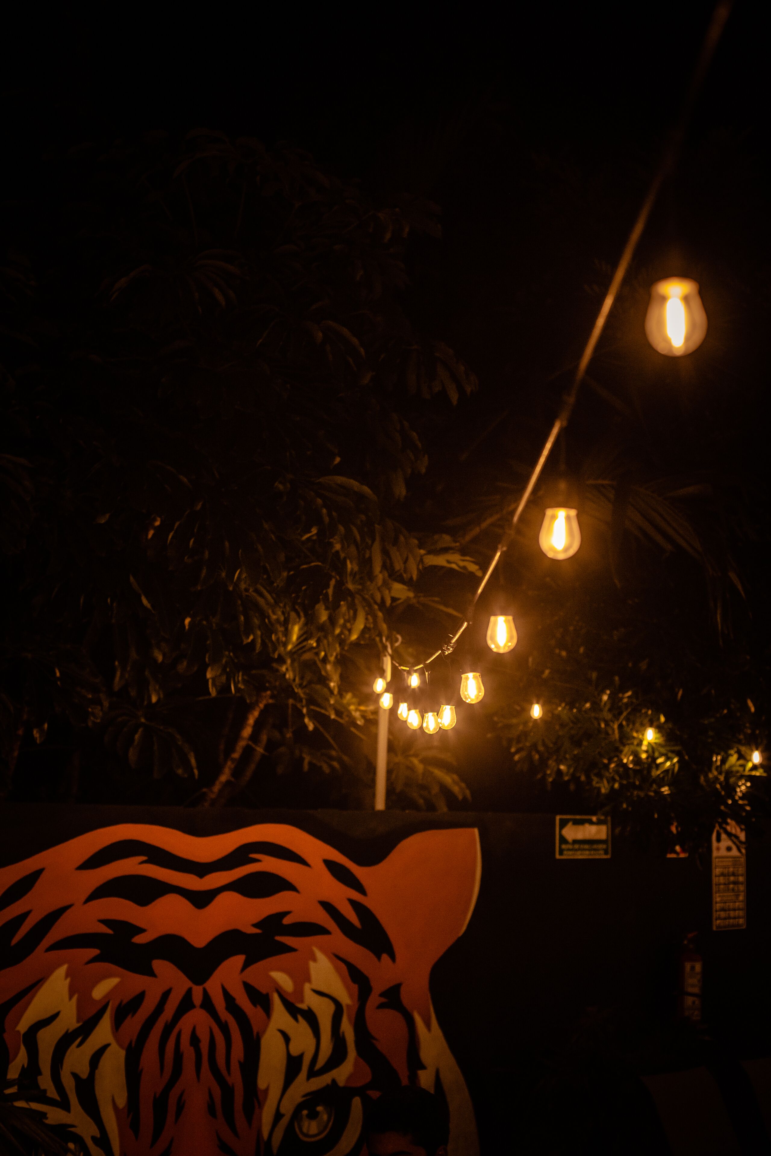 Foto - El Tigre de Santiago