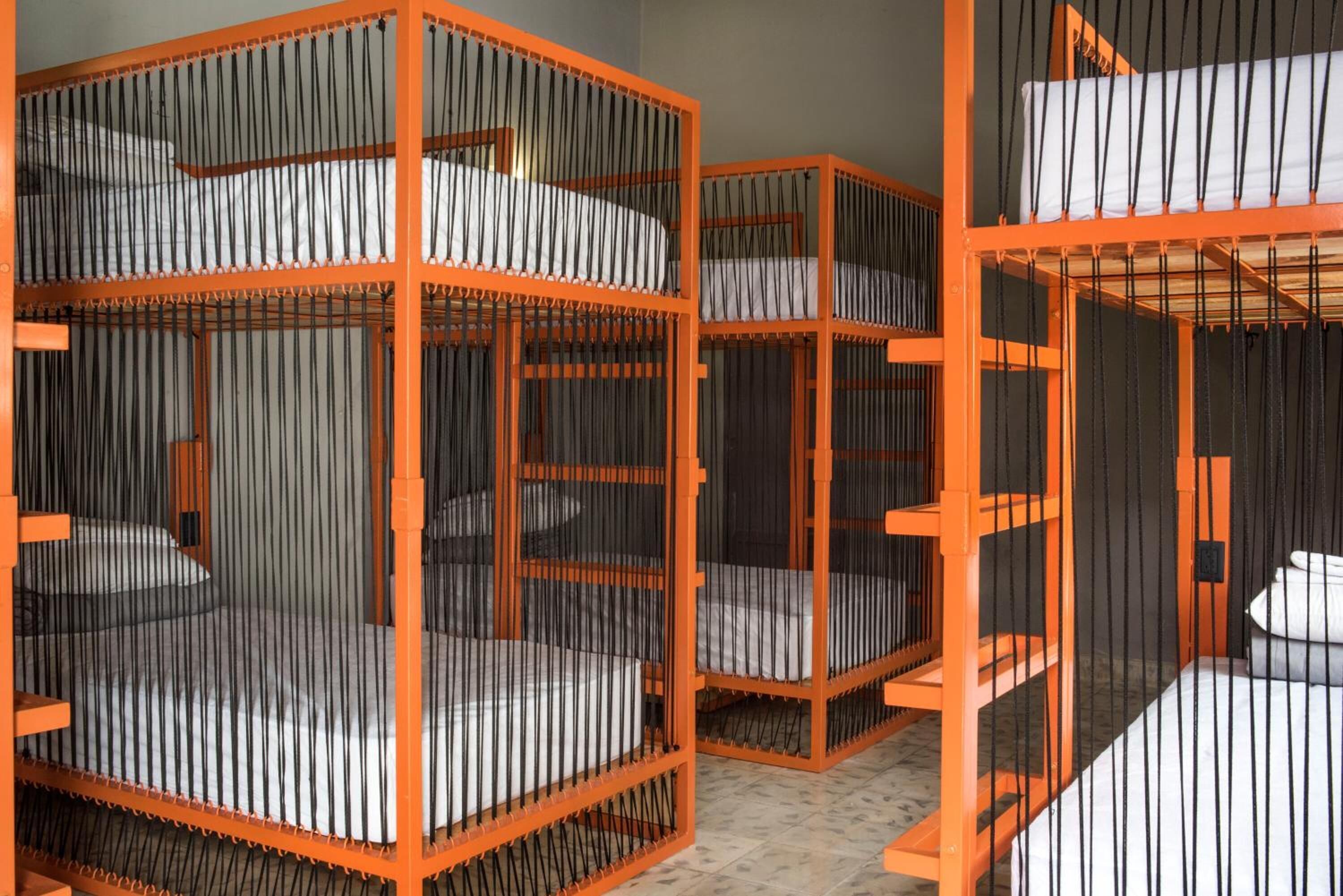 Foto - El Tigre de Santiago