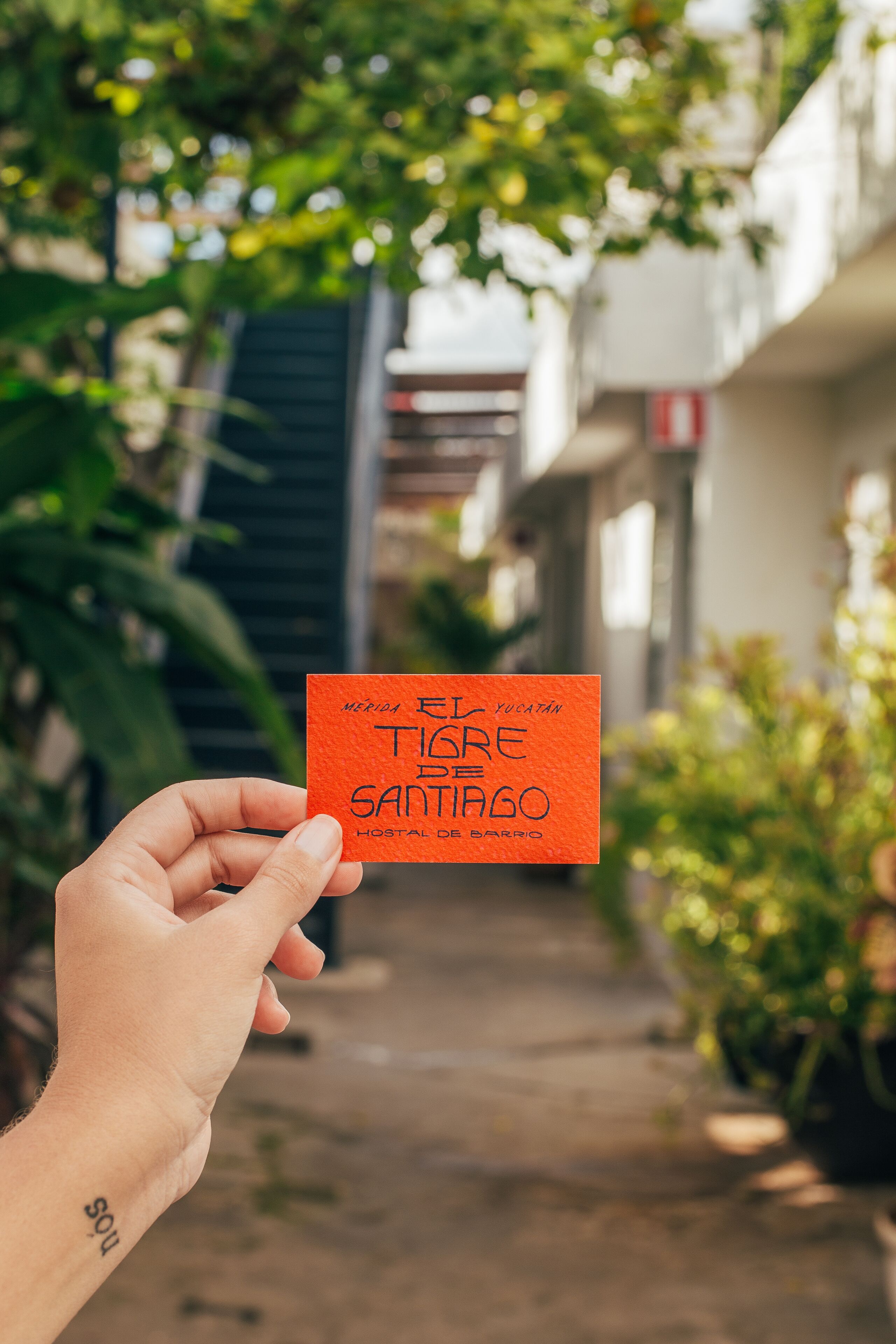 Foto - El Tigre de Santiago