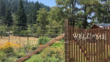 Jardín
