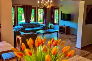 Four Bedroom Country Villa | Sala de estar | Una televisión LCD, una chimenea