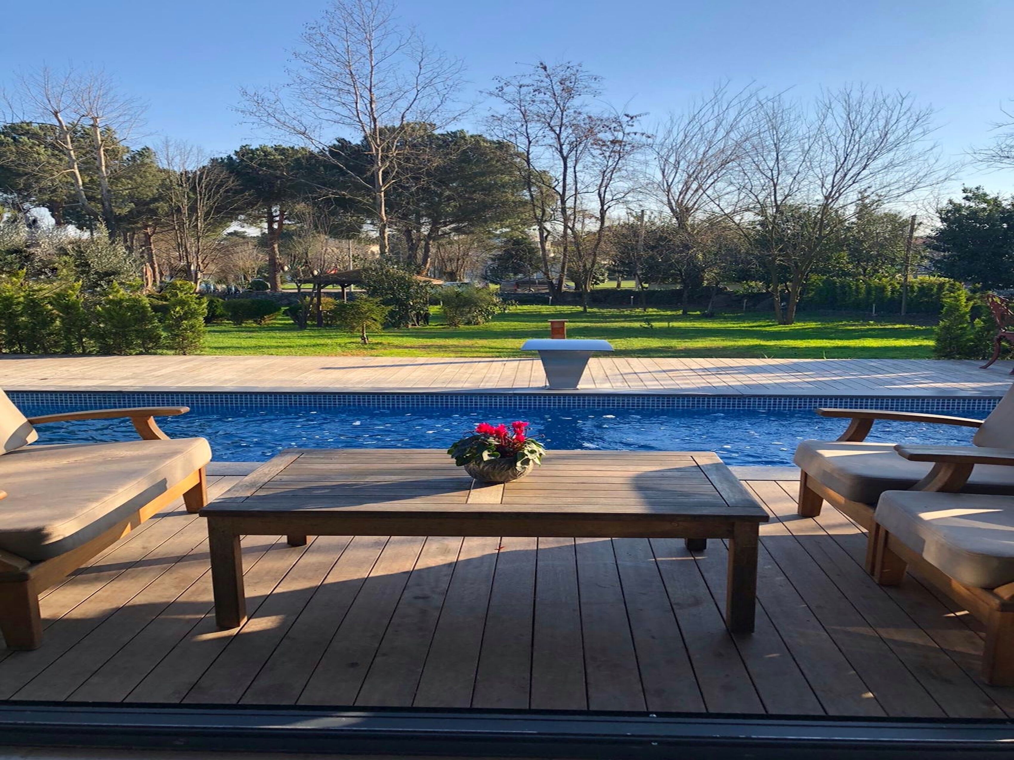 Junior Luxury Pool Villa | 客房景觀