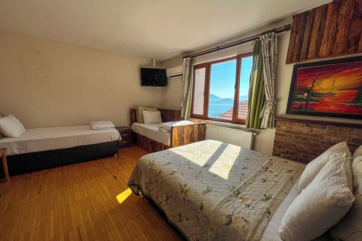 Una habitación con dos camas individuales, un escritorio, una silla, un radiador, un televisor montado en la pared y una ventana con cortinas.