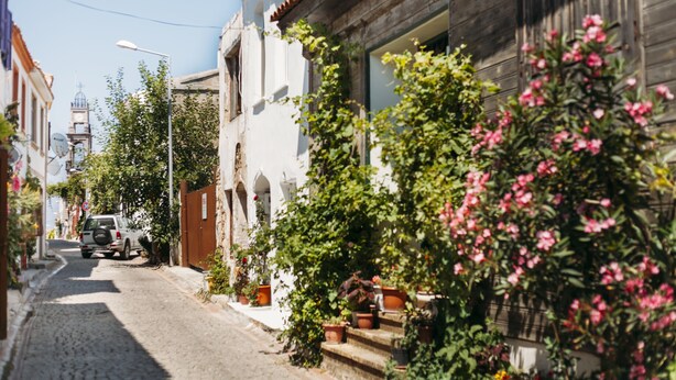 Une ruelle étroite pavée de pierres, bordée de bâtiments traditionnels, avec une voiture garée et des fleurs en pleine floraison.