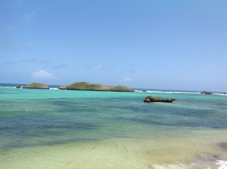 靠近海滩、白沙