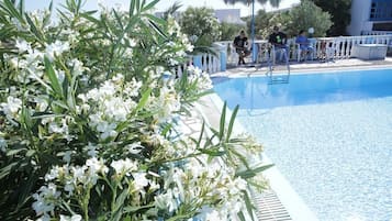 Outdoor pool, pool umbrellas, pool loungers