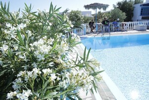 Una piscina al aire libre, sombrillas, sillones reclinables de piscina