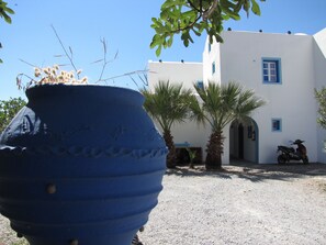 Property grounds - Studio Apartment Perivolos (Santorini)