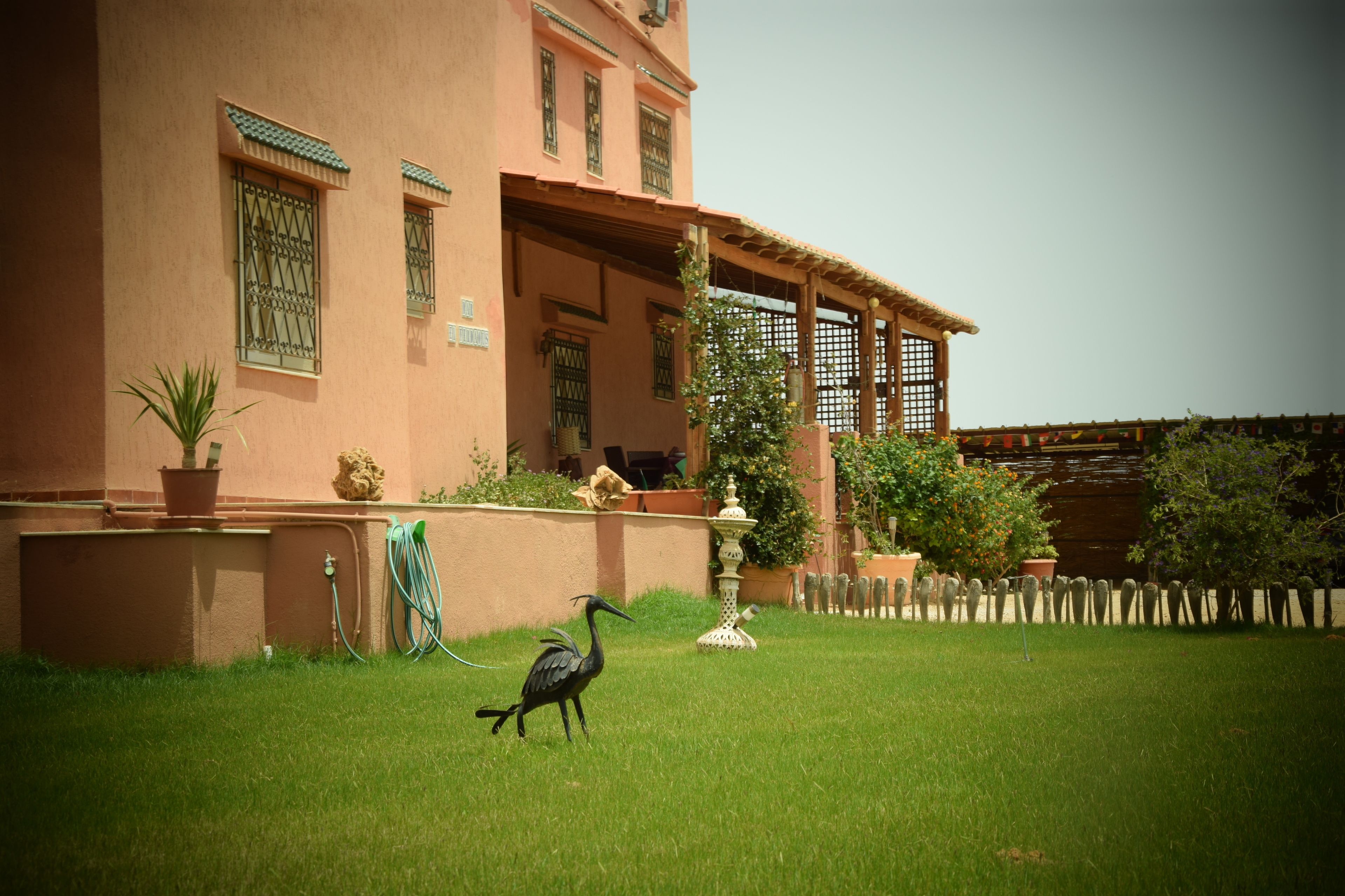 A building with a garden, a bird, and a fence.