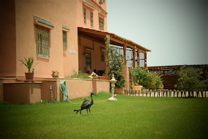 Garden - Dar El Ferdaous (Gabes)