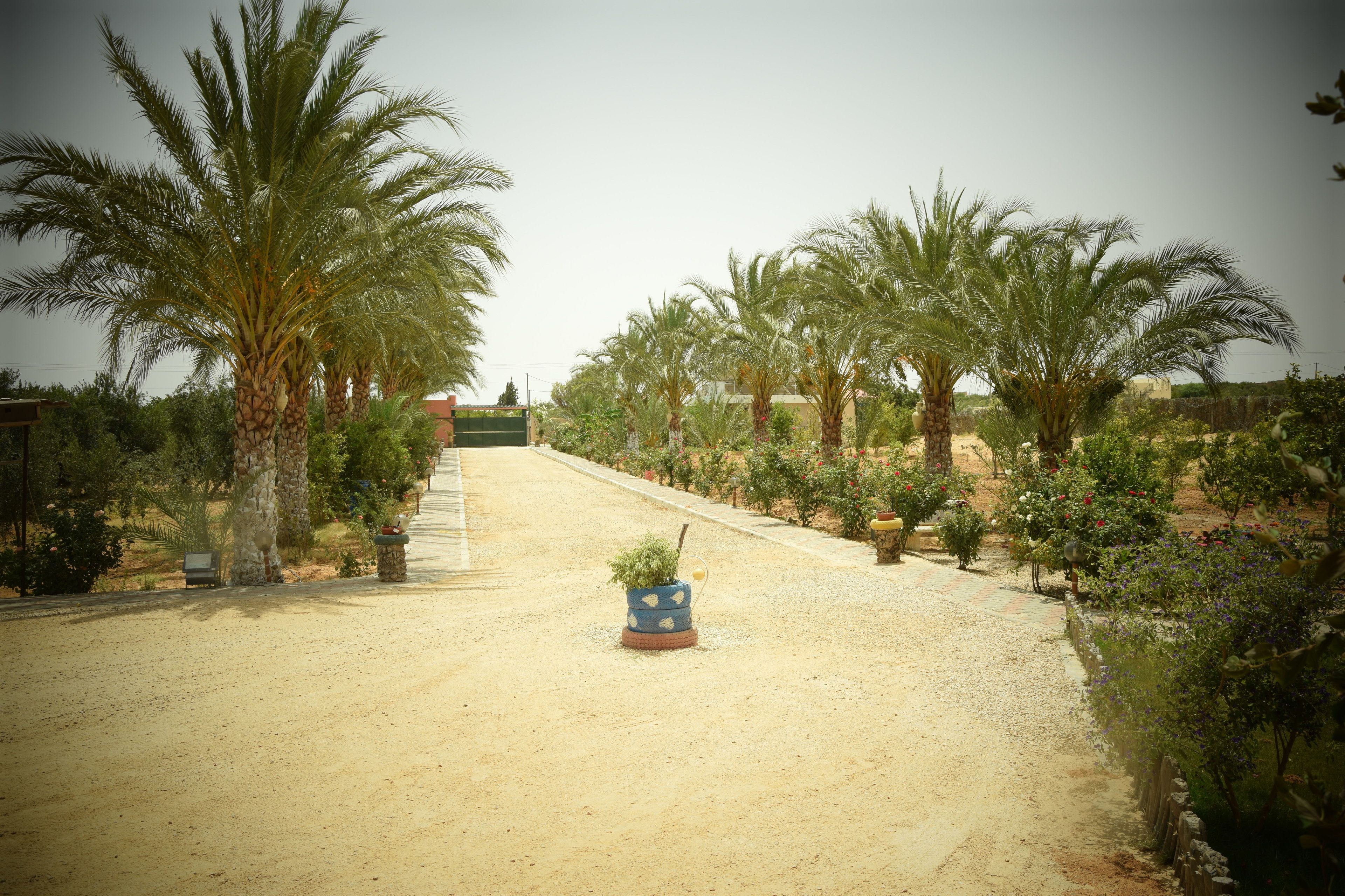 Vue depuis l’hébergement