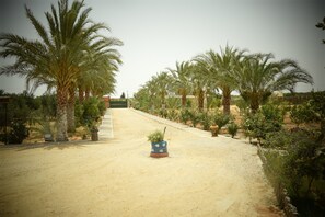 Vue depuis l’hébergement