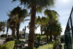Tennis court