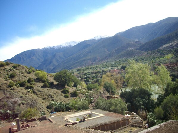 Mountain view