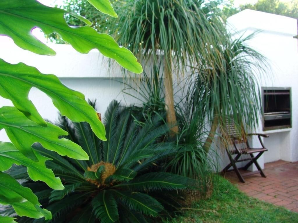 Un espace patio aménagé avec un barbecue, une chaise et diverses plantes.