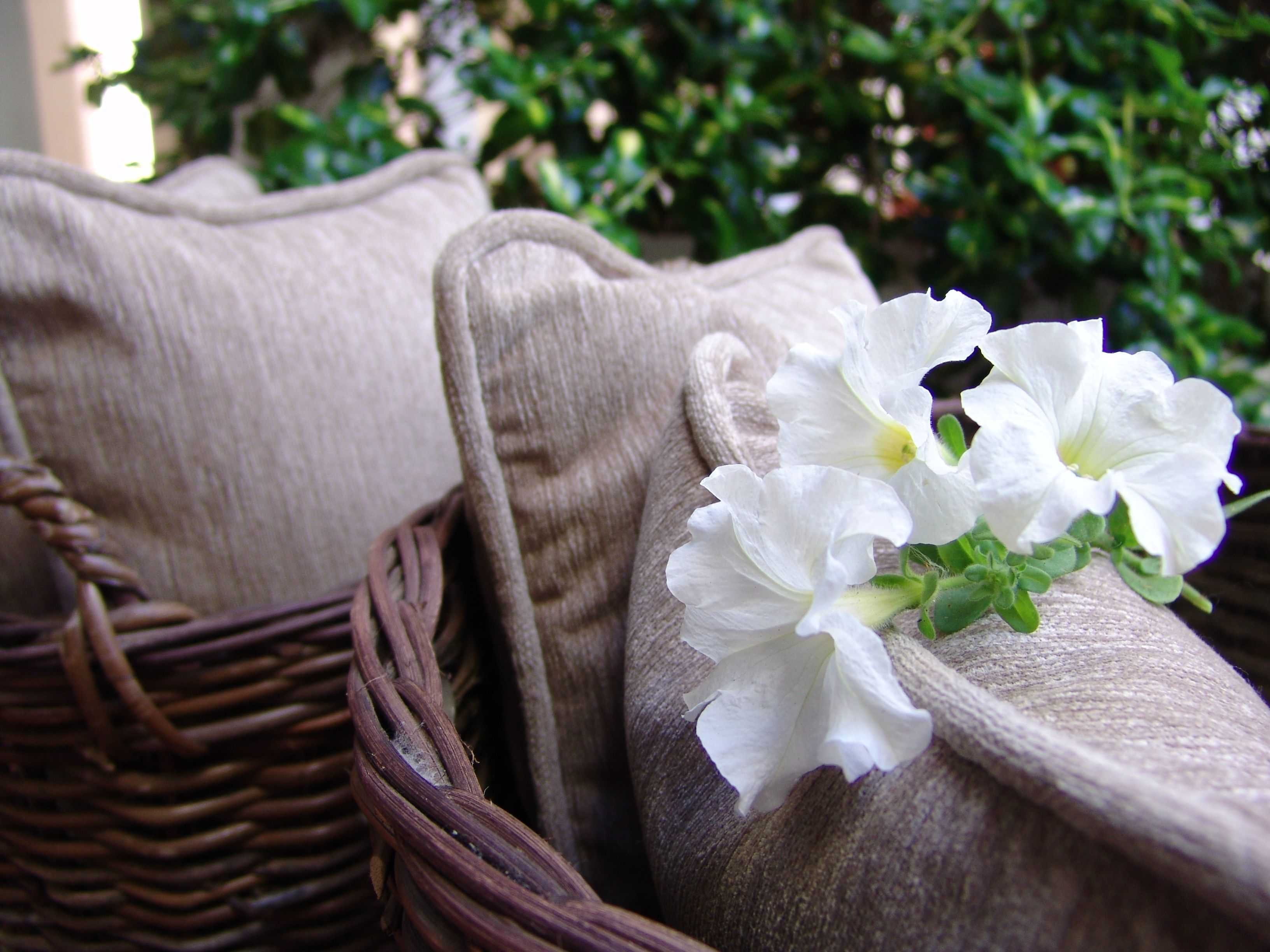 Ein Korbstuhl mit Kissen und einem Blumenstrauß aus weißen Blüten.