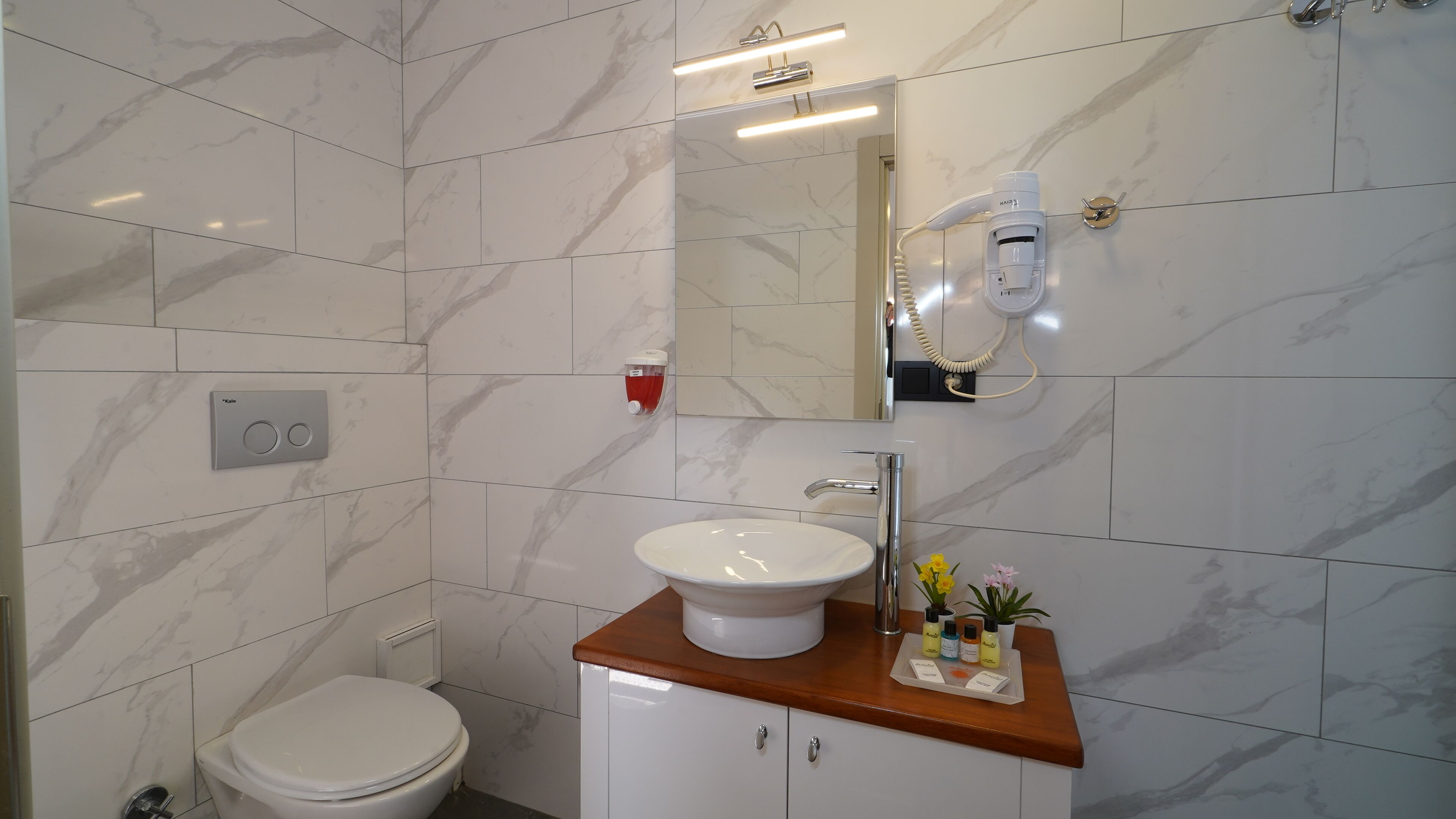 deluxe double room | bathroom | shower, free toiletries, hair dryer, slippers