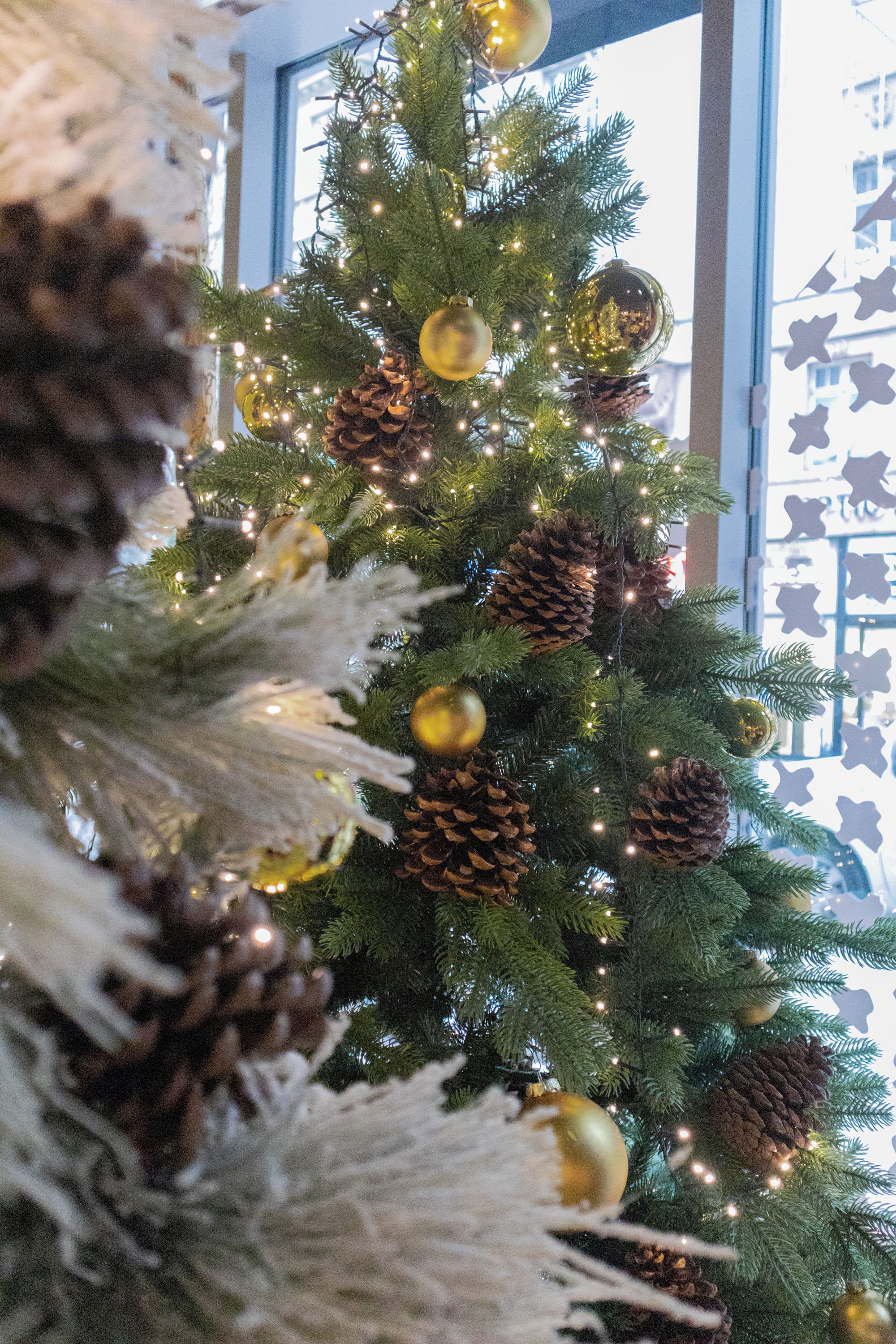 A decorated Christmas tree with lights and ornaments.